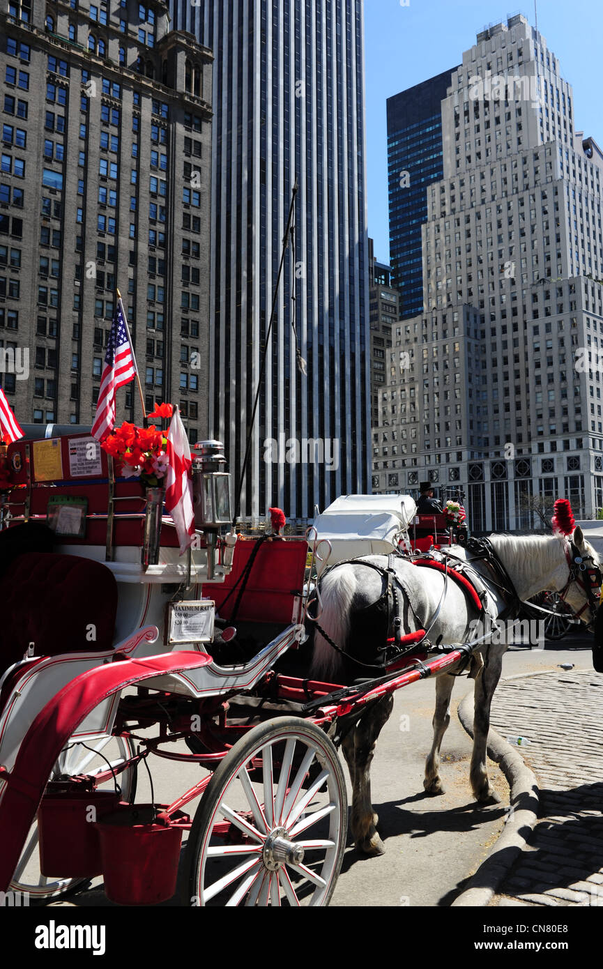 Stati Uniti d'America New York City Manhattan Central Park - Hansom Cabs - carrozze trainate da cavalli di prendere i turisti intorno a NYC Foto Stock