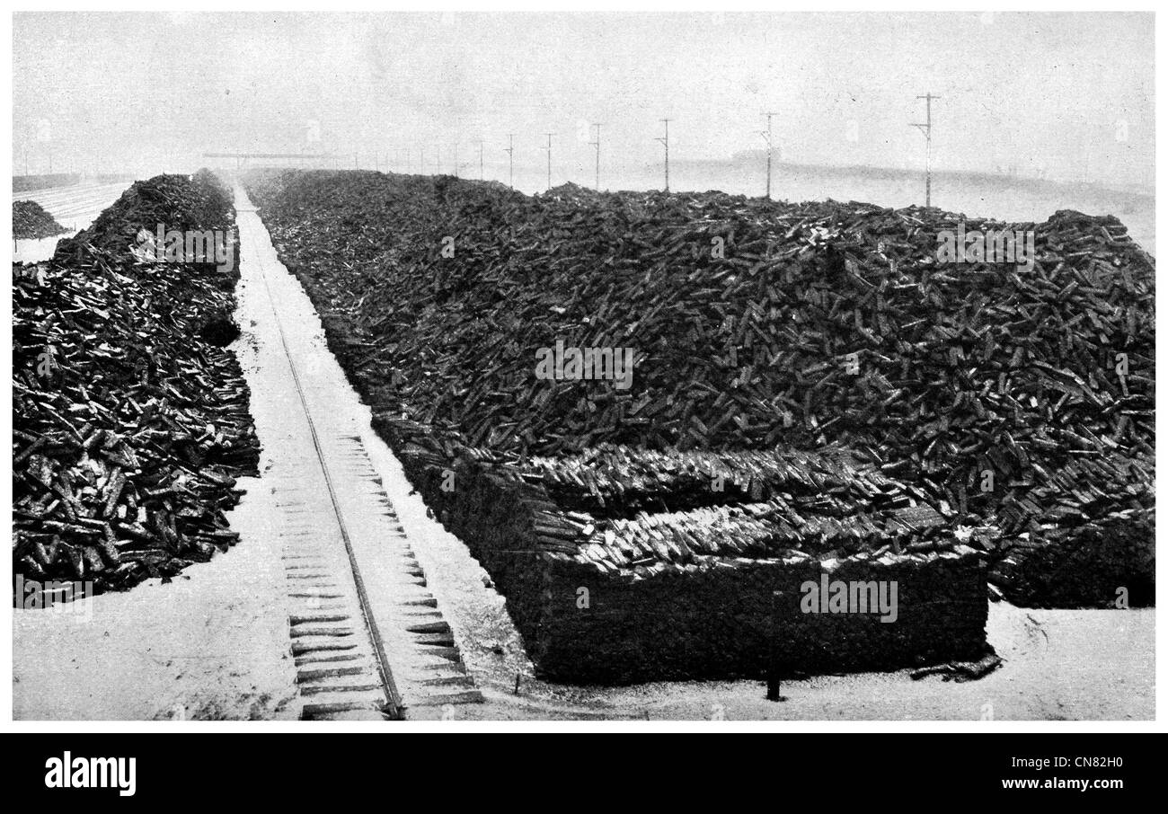 1917 250.000 tonnellate di ghisa a Buffalo Foto Stock