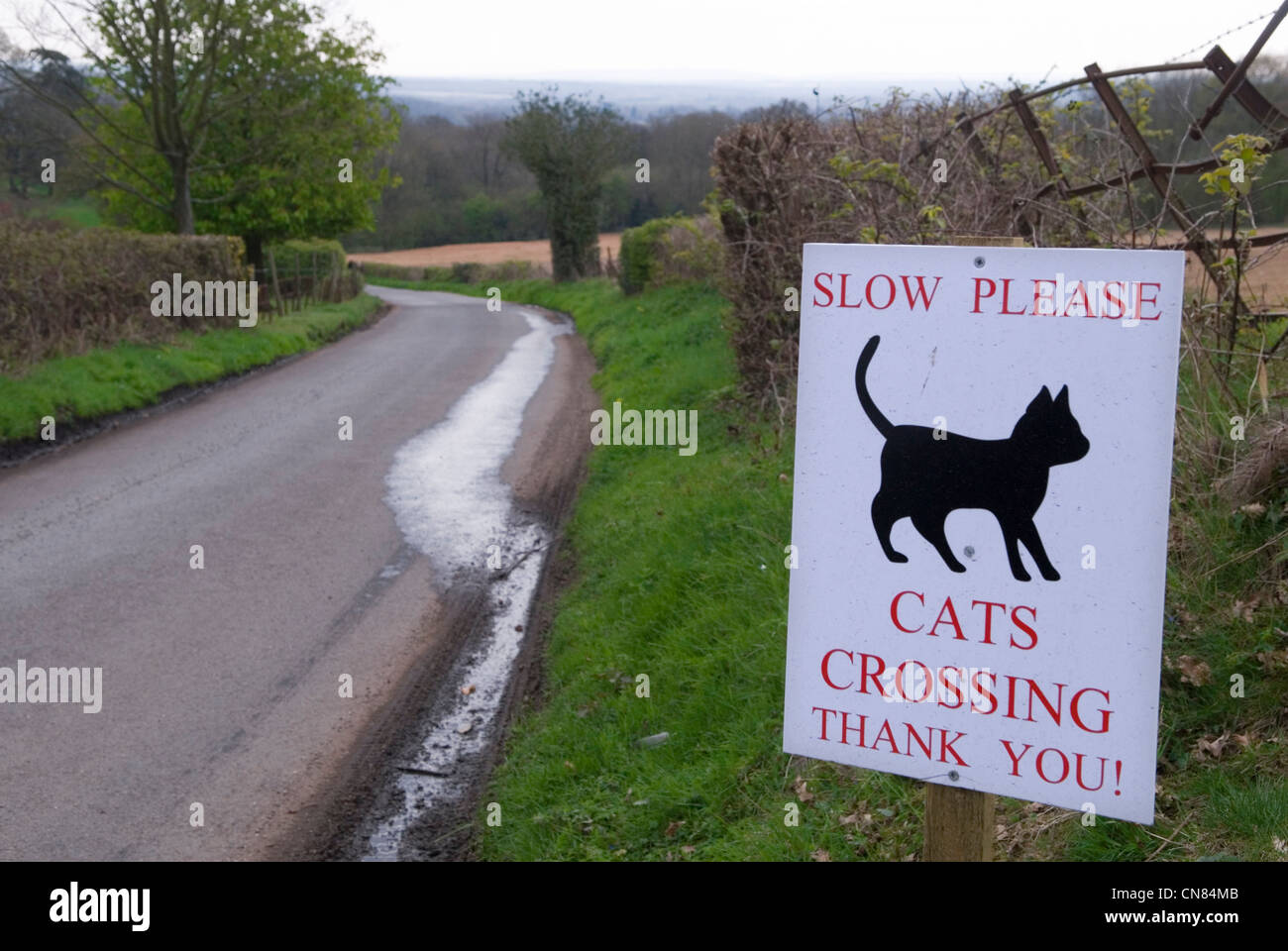 Gatti che attraversa la strada segno Gran Bretagna una nazione di amanti degli animali. ColdhHarbour Surrey Regno Unito. Colline di Surrey. Guidare lentamente l'attraversamento dei gatti. 2012, 2010s, HOMER SYKES Foto Stock