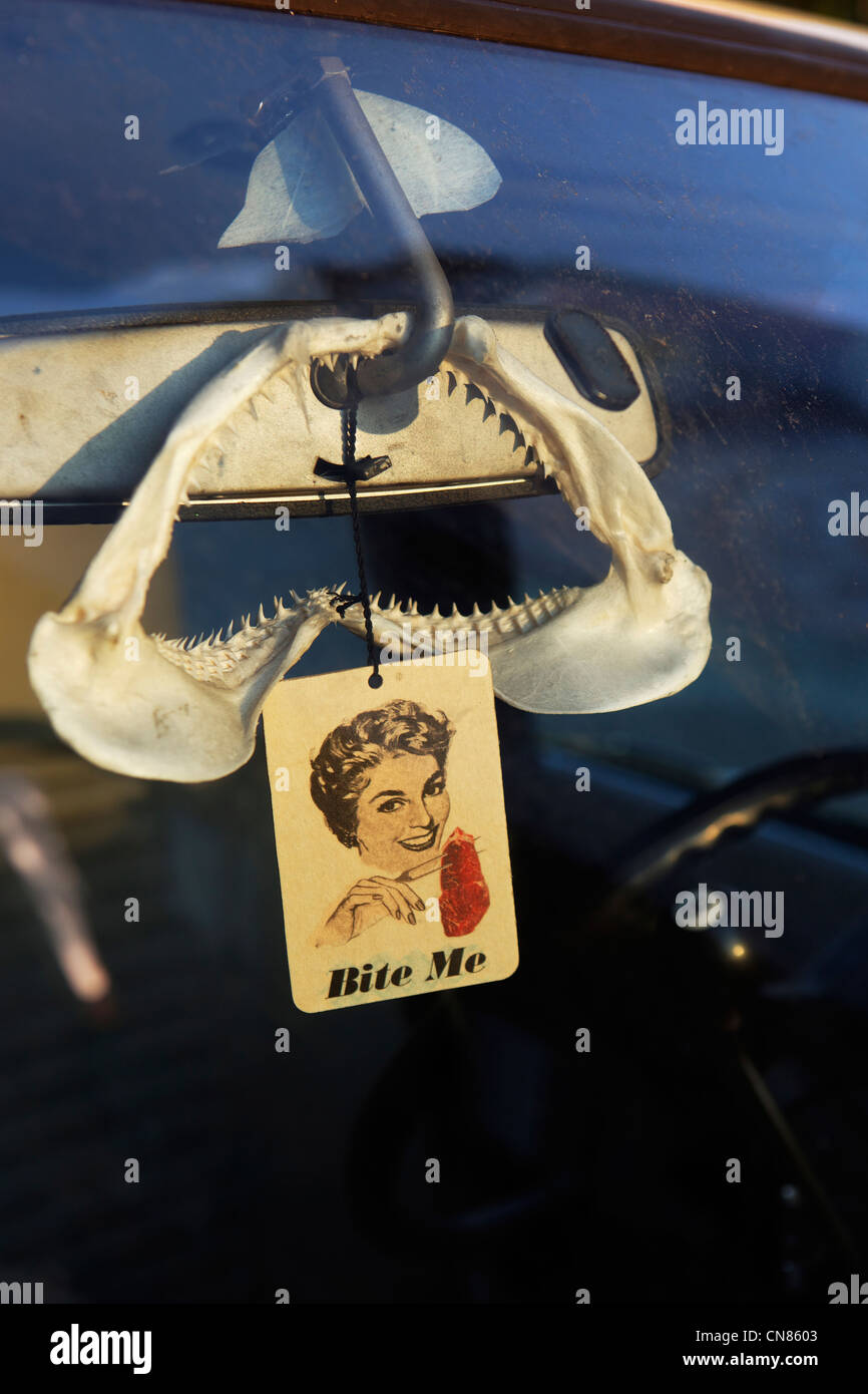 Stati Uniti, New York, Brooklyn, la mascella di squalo appeso su uno specchietto retrovisore Foto Stock