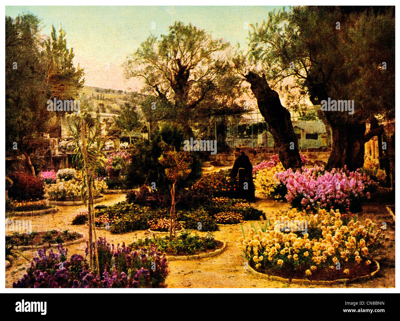 Pubblicato per la prima volta 1914 Getsemani garden Foto Stock