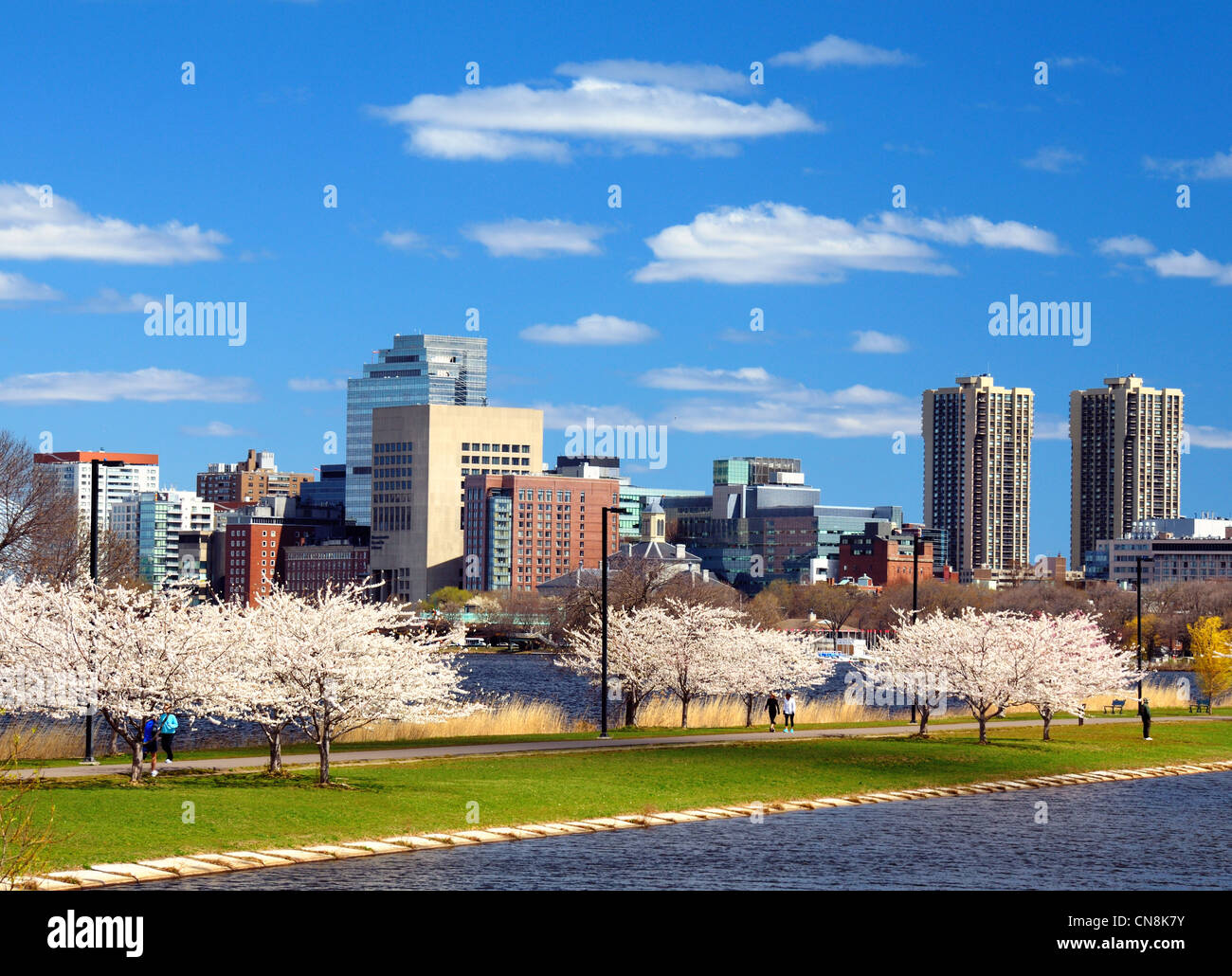 Il quartiere finanziario di Boston, Massachusetts con fioriture primaverili. Foto Stock