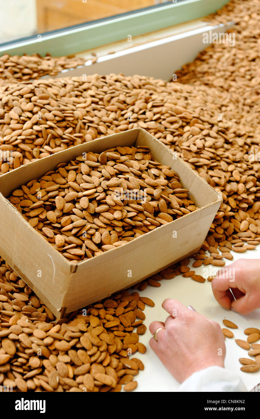 Francia, Meuse, Verdun, Braquier confetti fabbrica, cernita manuale di mandorle esclusivamente dalla Sicilia e Spagna Foto Stock