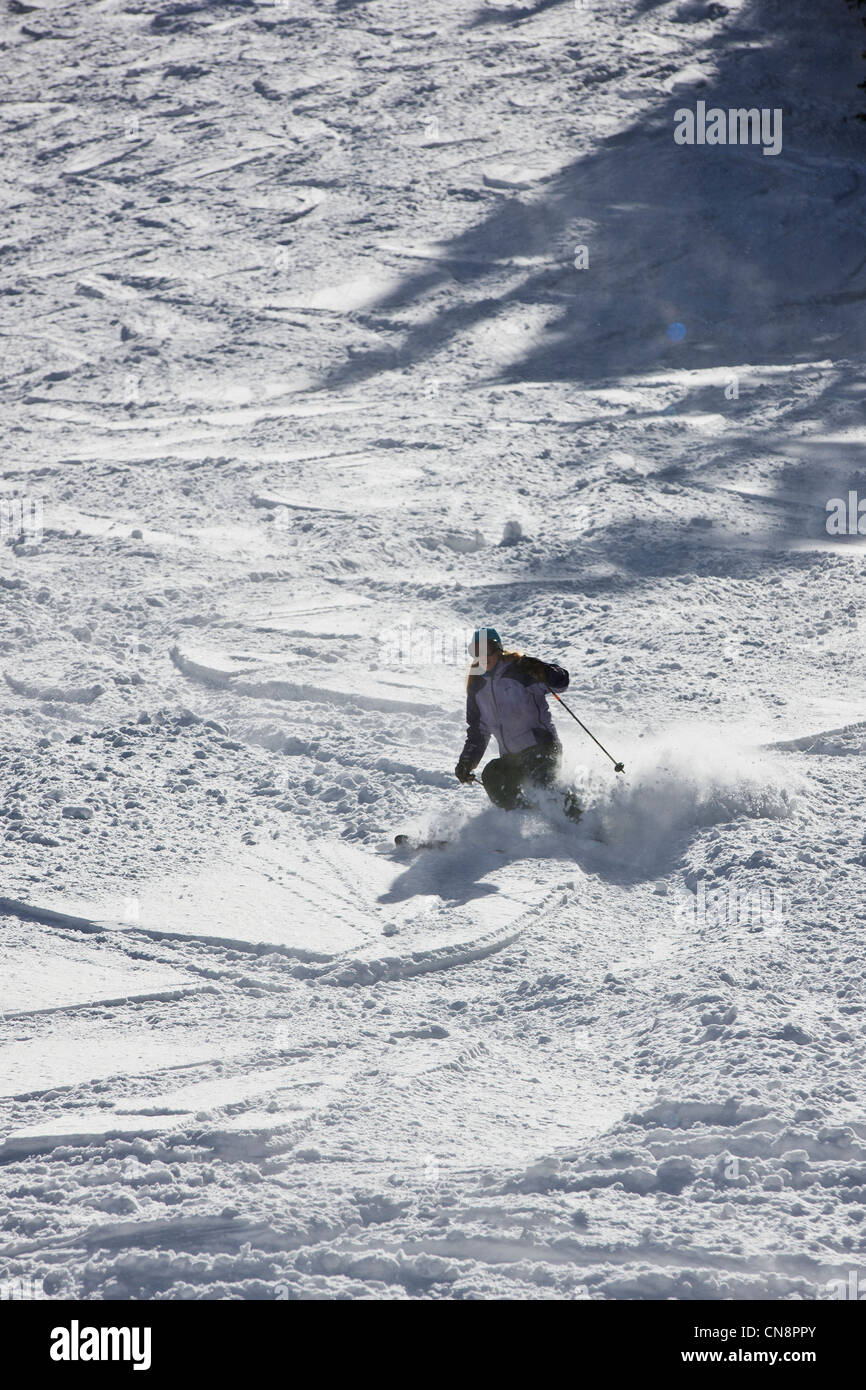 Sciatore a Monarch Mountain Ski & Snowboard resort sulla Continental Divide in Colorado, STATI UNITI D'AMERICA Foto Stock