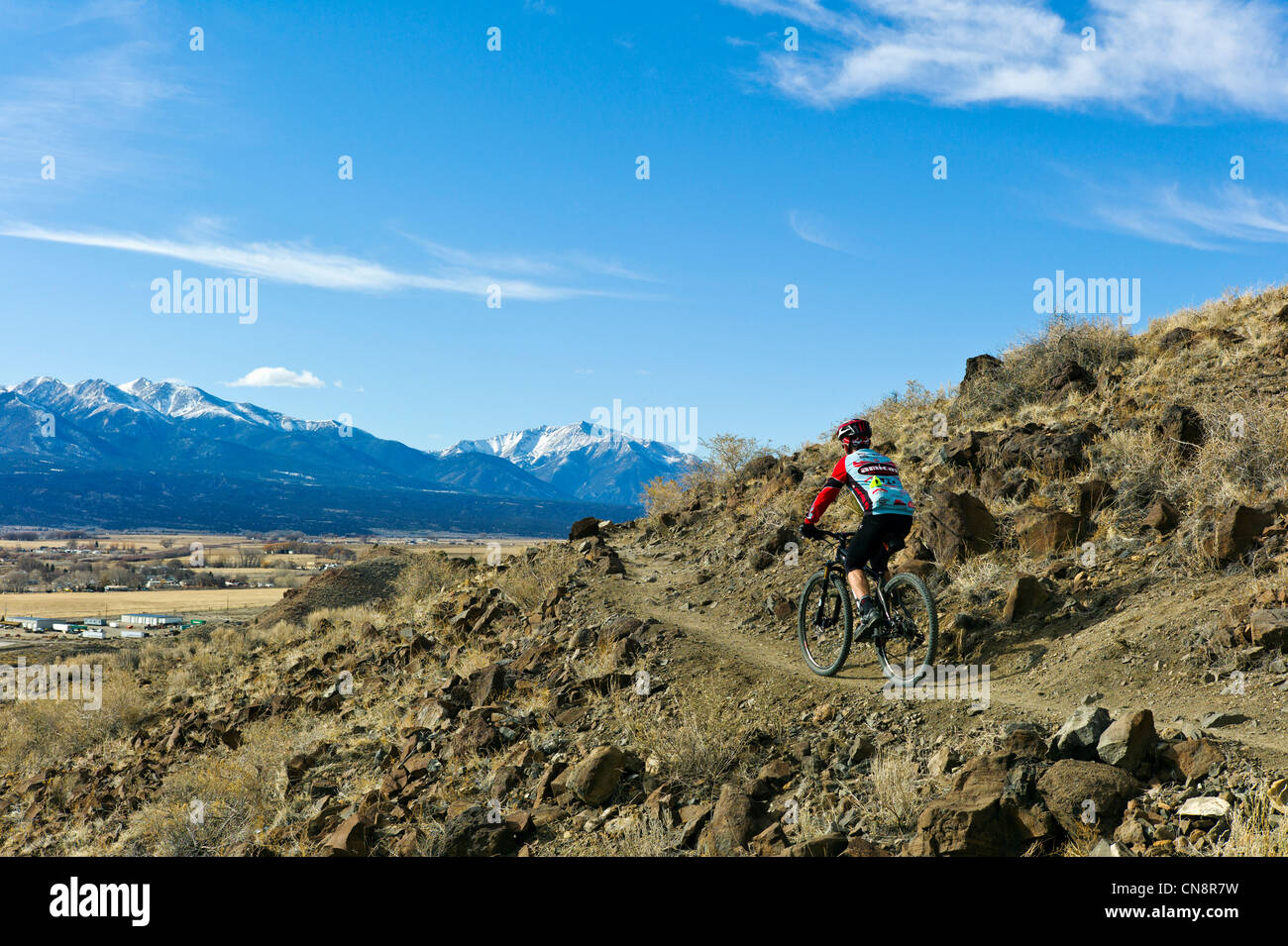 Maschio di mountain biker in sella sul sentiero Frontside, Tenderfoot montagna, Salida, Colorado, Stati Uniti d'America. La collegiata di picchi in distanza. Foto Stock