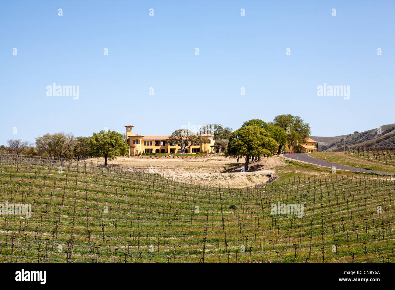 Una casa nel verde delle colline di Paso Robles con un vigneto intorno ad esso. Foto Stock