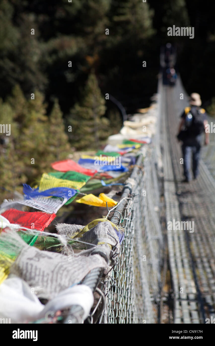 Bandiere di preghiera su una sospensione ponte del Dudh Kosi. Foto Stock