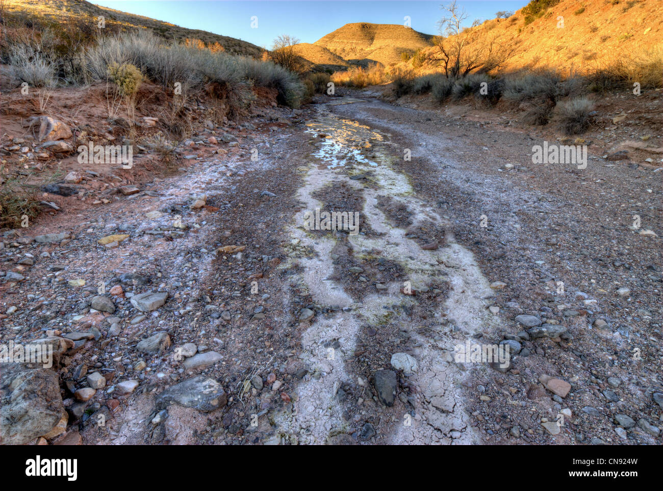 Flusso intermittente nel fondo del canyon in esecuzione attraverso il deserto del Chihuahuan habitat. Quebradas, Socorro county, Nuovo Messico, Stati Uniti d'America. Foto Stock