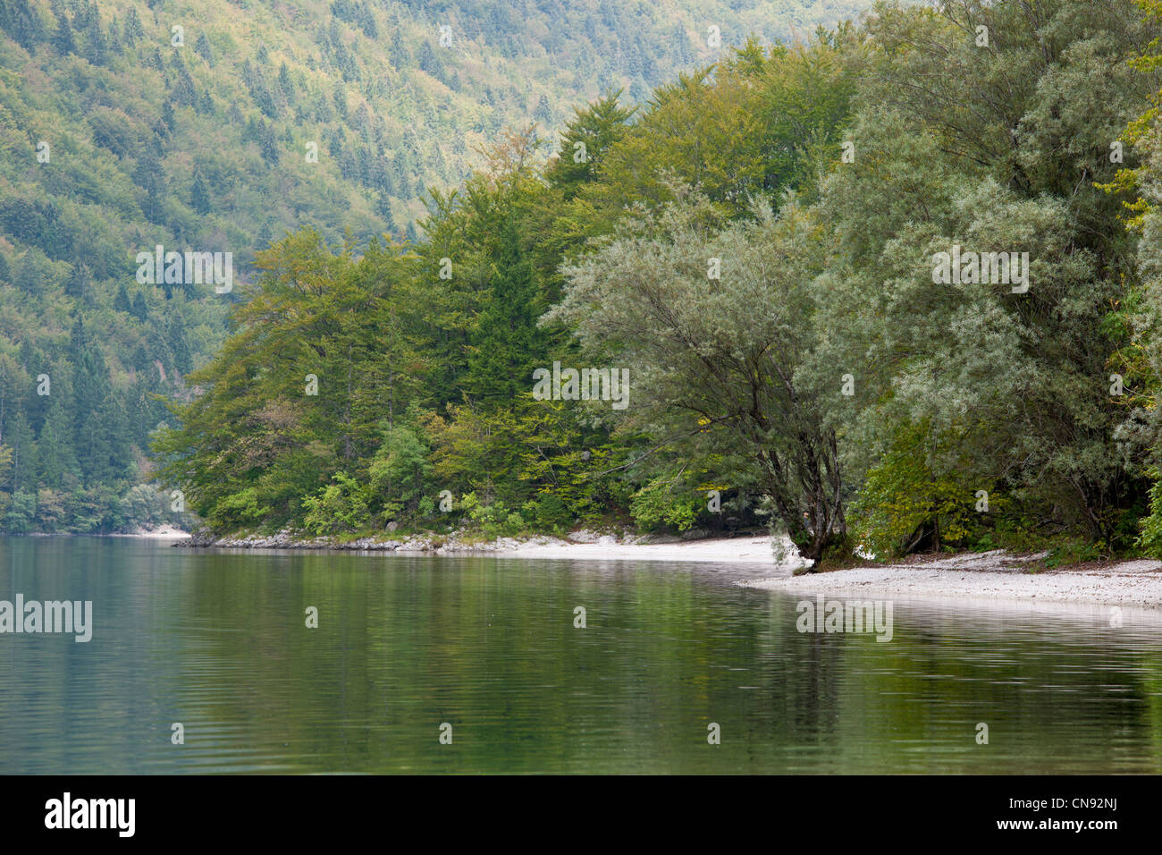 La Slovenia, Regione Goriska, Bovec, il Parco Nazionale del Triglav, il lago di Bohinj Foto Stock