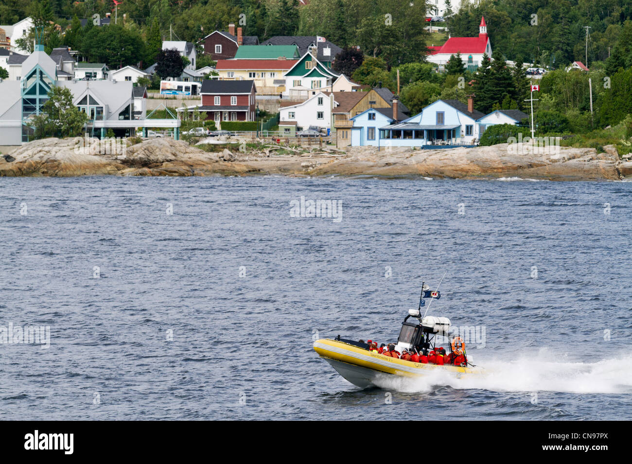 Canada, Provincia di Quebec, Manicouagan, Tadoussac, whale watching a un gruppo di un Zodiac Foto Stock