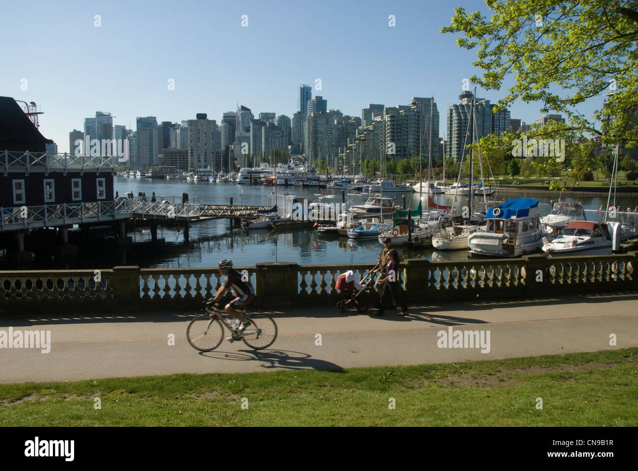 Ciclista ciclismo pur Stanley Park, Vancouver CBD e barca marina dietro, Vancouver, Colombia britannica Canada Foto Stock