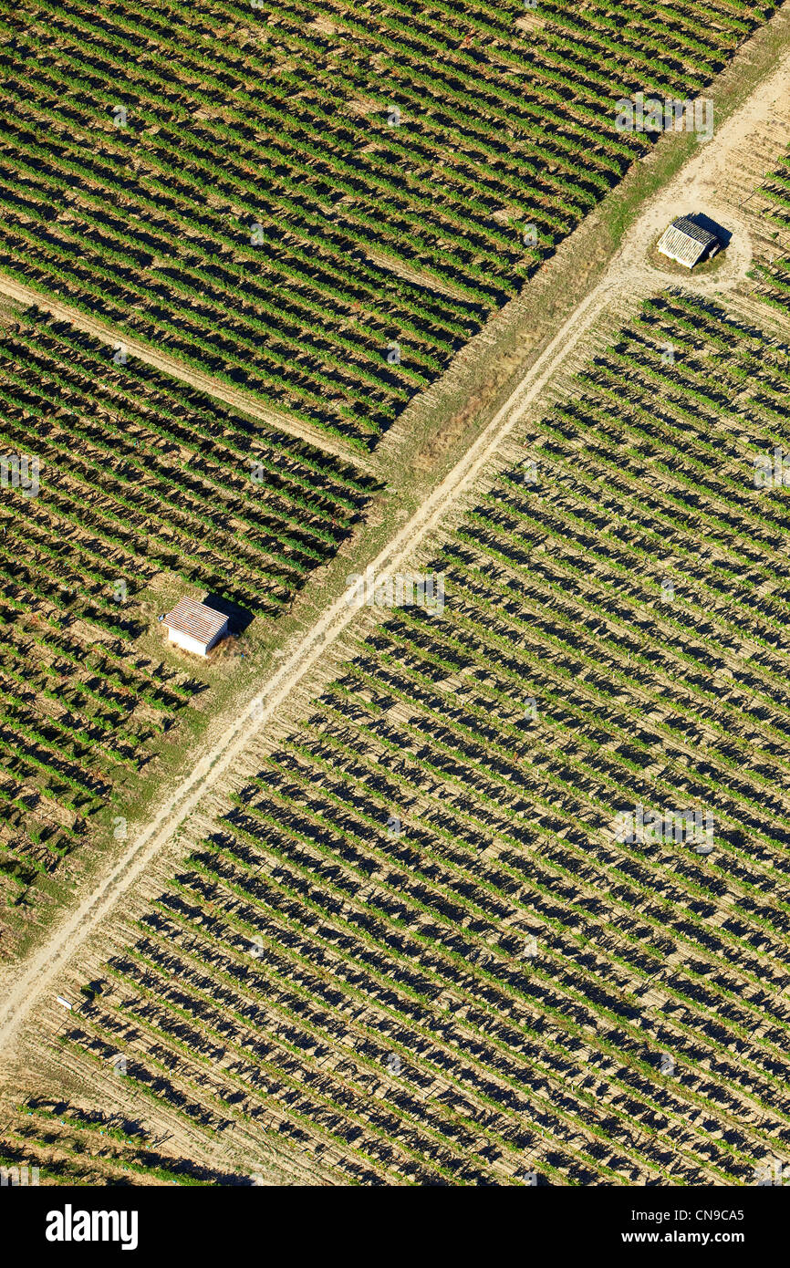 Francia, Drome, Drome Provencale, Chatillon en Diois, vite (vista aerea) Foto Stock