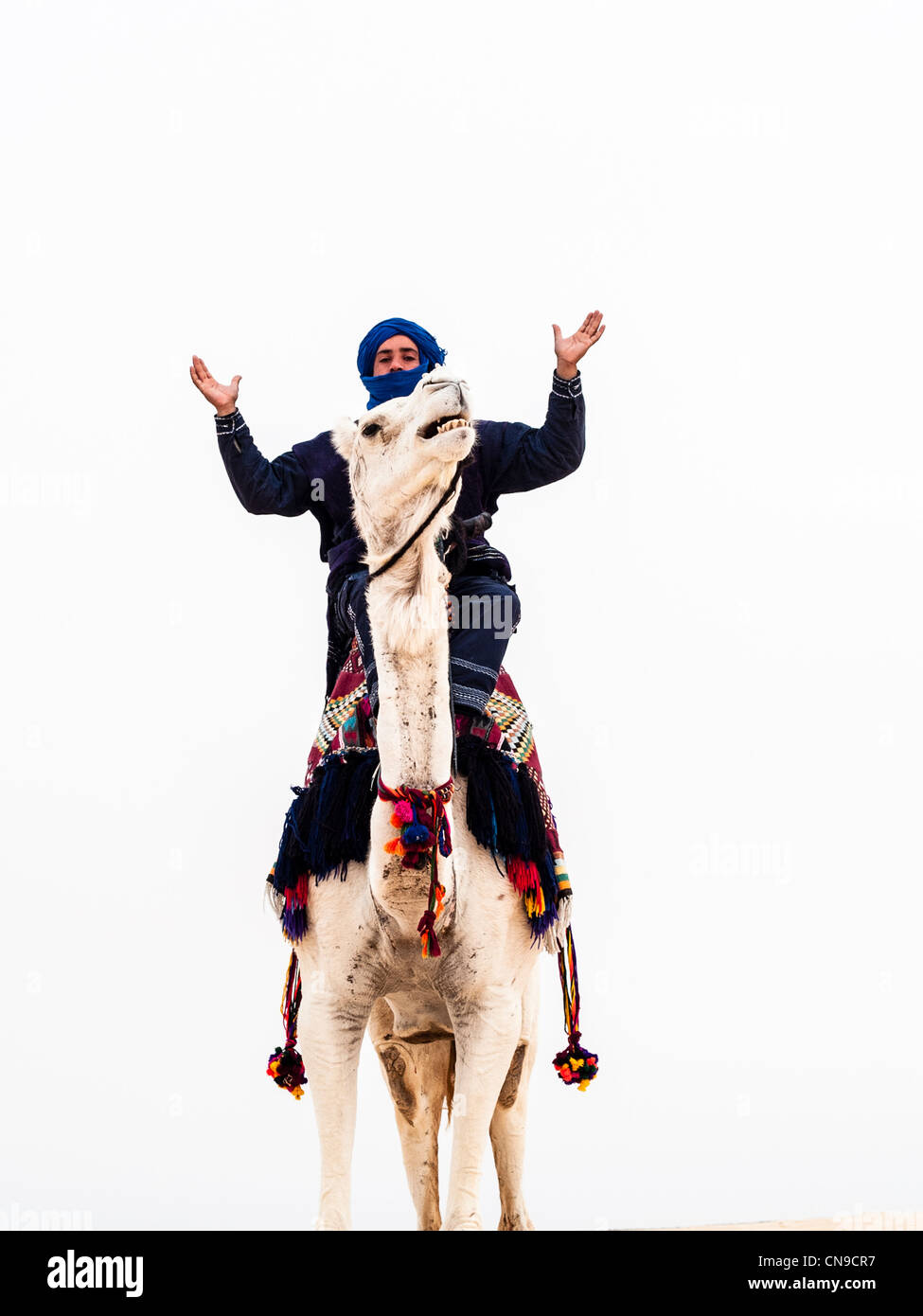 Driver del cammello a Douz,Tunisia Foto Stock