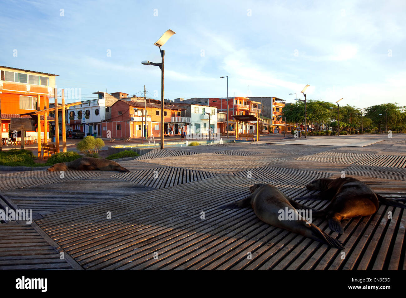 Ecuador Isole Galapagos, San Cristobal Island Foto Stock