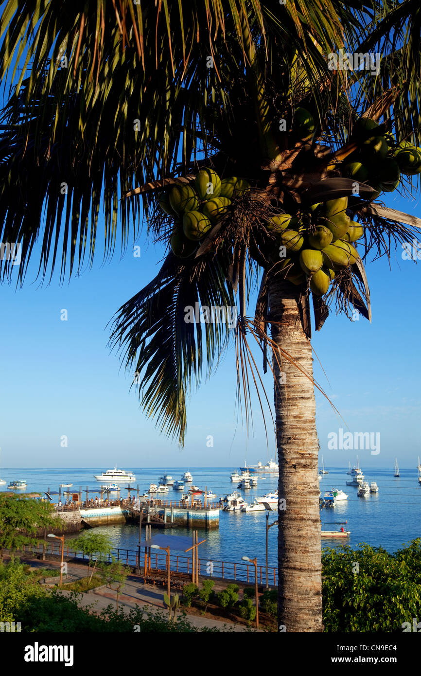 Ecuador Isole Galapagos, San Cristobal Island, il porto Foto Stock