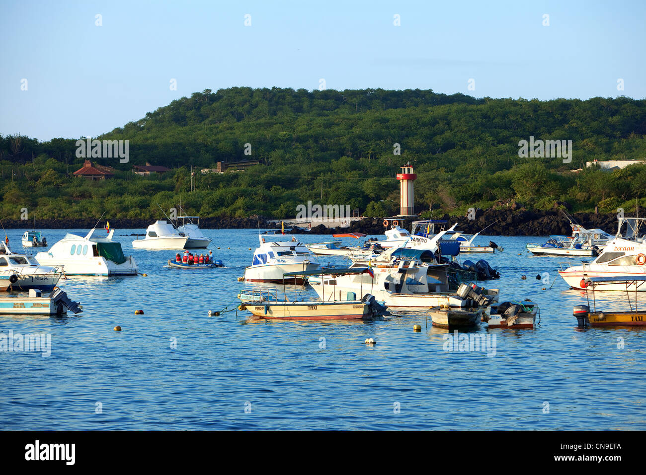 Ecuador Isole Galapagos, San Cristobal Island, il porto Foto Stock