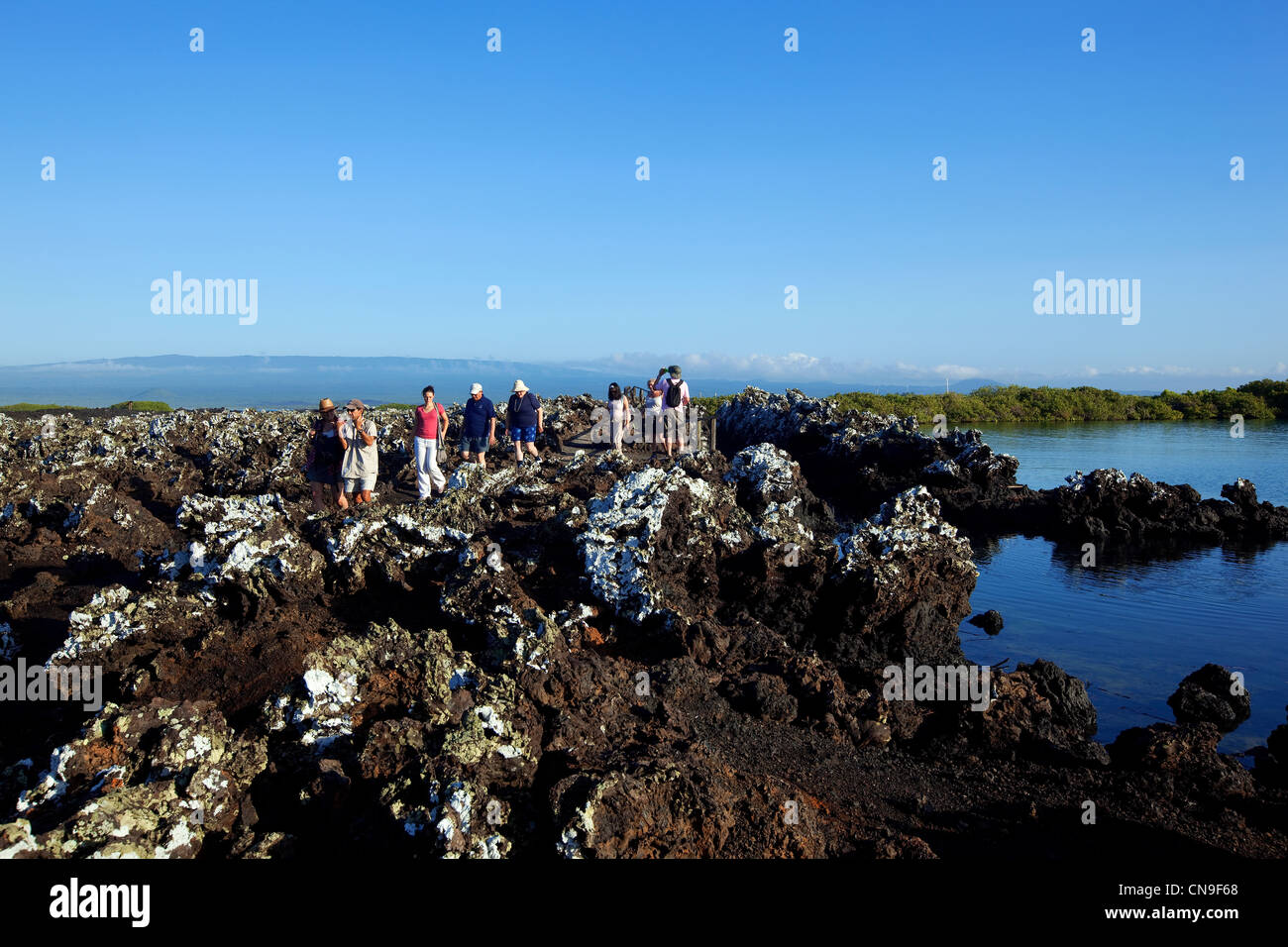 Ecuador Isole Galapagos, classificato come patrimonio mondiale dall' UNESCO, Isabela Island, Puerto Villamil, Tintoreras isola, turisti Foto Stock