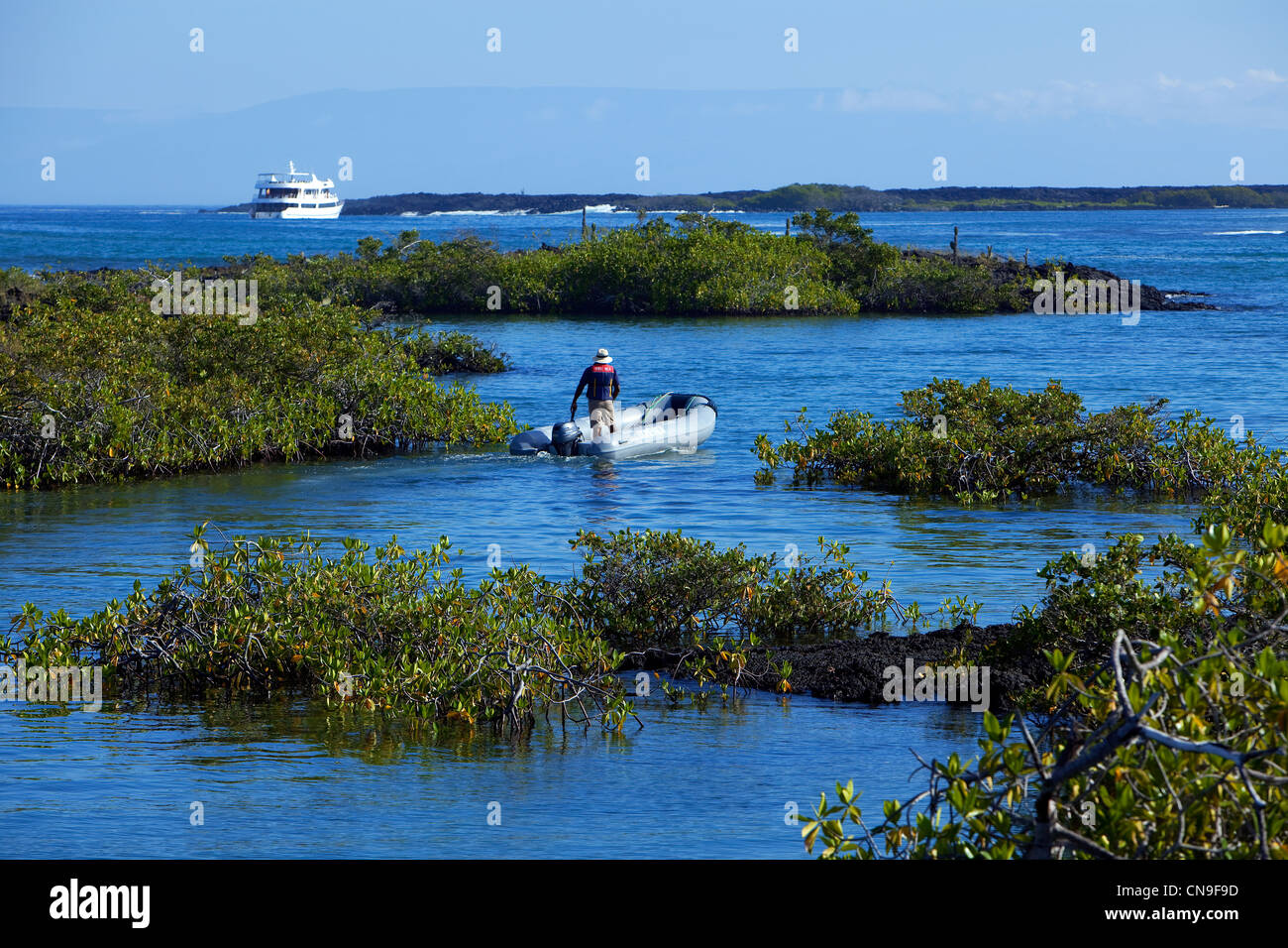 Ecuador Isole Galapagos, classificato come patrimonio mondiale dall' UNESCO, Isabela Island, Puente Moreno, snorkeling in aria Foto Stock