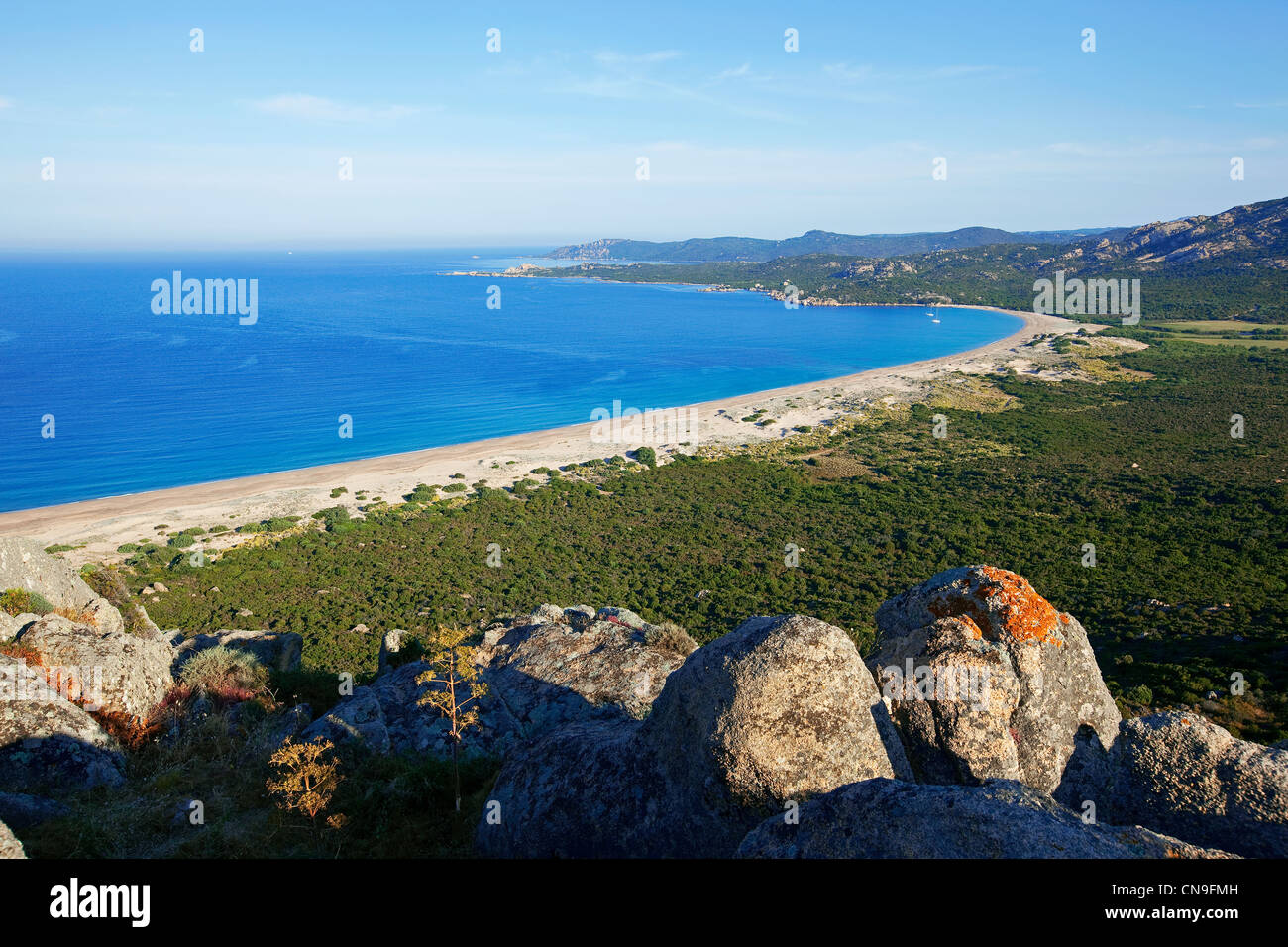 Francia, Corse du Sud, gamma Erbaju dal rock Roccapina e Domaine de Murtoli in background Foto Stock