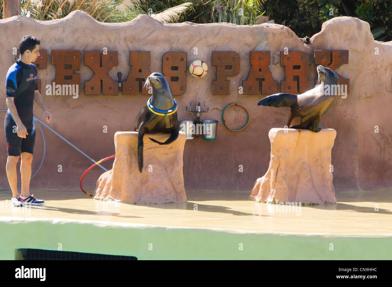 Lanzarote isole Canarie - Rancho Texas, parco di divertimenti e zoo. Sealion show. Foto Stock