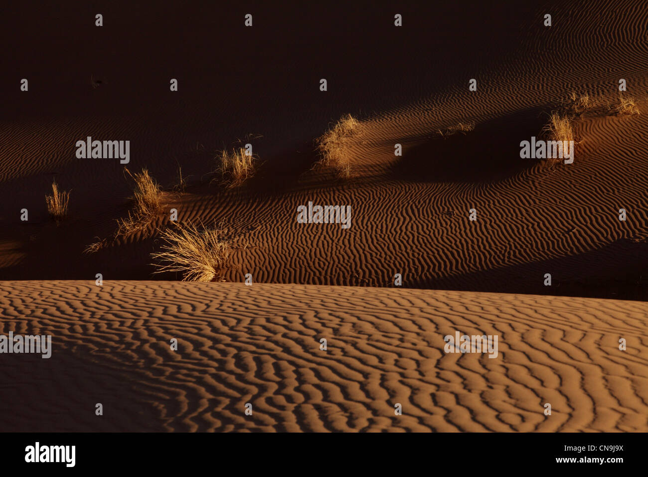 Grandi dune di sabbia in Chegaga, il deserto del Sahara, sud del Marocco, Africa. Foto Stock