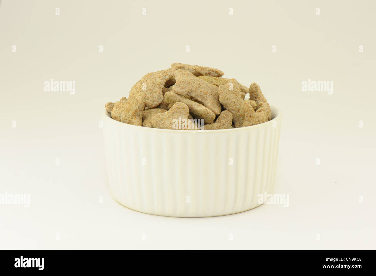 Biscotti di cane nel piatto bianco a forma di osso preso su sfondo bianco Foto Stock