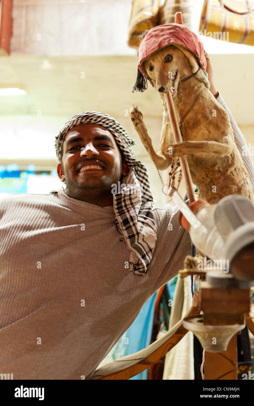 Uomo egiziano presso il suo negozio con un imbalsamato pet - Dahab, la penisola del Sinai Foto Stock