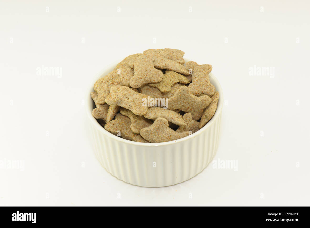 Biscotti di cane nel piatto bianco a forma di osso preso su sfondo bianco Foto Stock