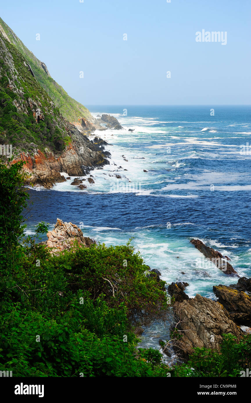 Tempeste foce, Tsitsikamma National Park, Capo orientale, Sud Africa Foto Stock