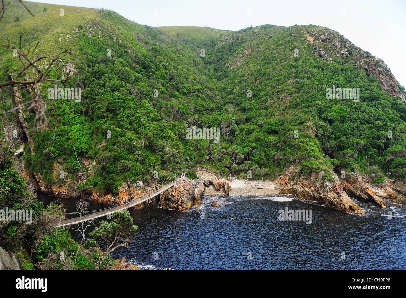 Ponte di sospensione a tempeste foce, Tsitsikamma National Park, Capo orientale, Sud Africa Foto Stock