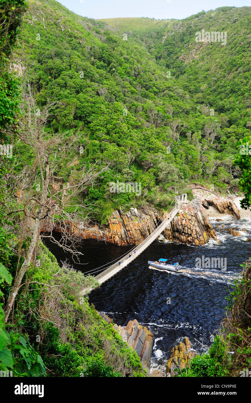 Ponte di sospensione a tempeste foce, Tsitsikamma National Park, Capo orientale, Sud Africa Foto Stock