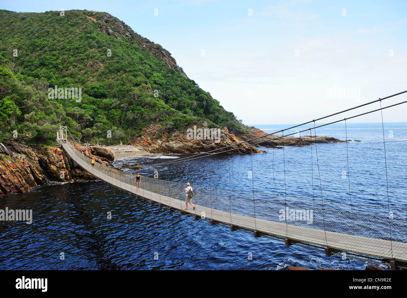 Ponte di sospensione a tempeste foce, Tsitsikamma National Park, Capo orientale, Sud Africa Foto Stock