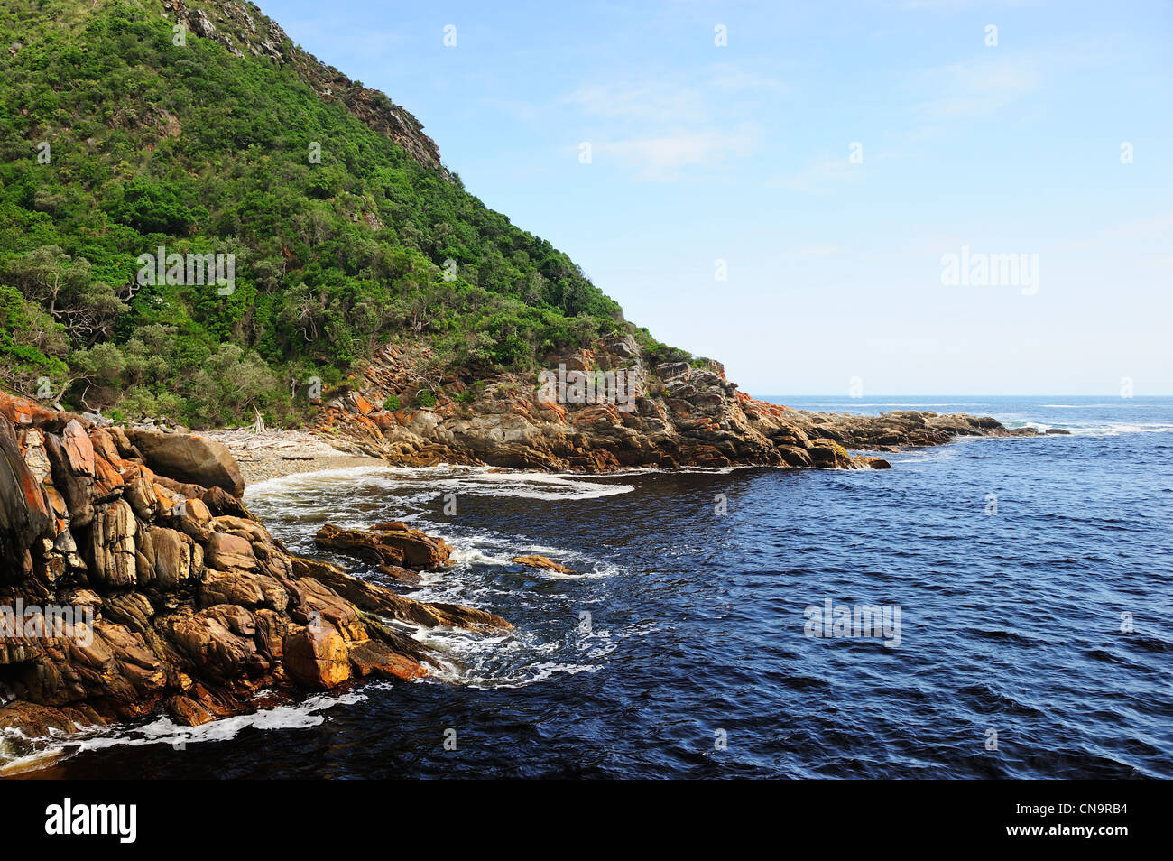Tempeste foce, Tsitsikamma National Park, Capo orientale, Sud Africa Foto Stock