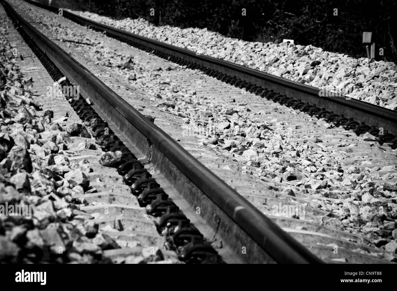 BW immagine del convoglio ferroviario Foto Stock