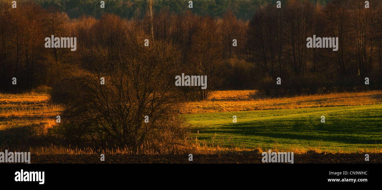 Vista panoramica sui campi polacco al tramonto Foto Stock