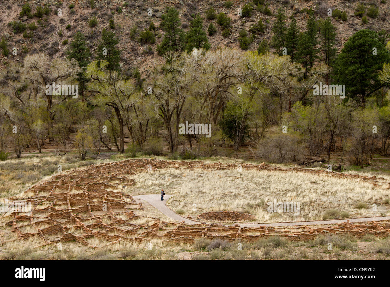 Rovine e antiche native American abitazioni al Bandelier National Monument, Nuovo Messico. Foto Stock
