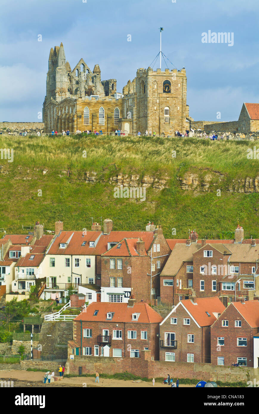 Whitby città vecchia e la chiesa nell'estate North Yorkshire England Regno Unito GB EU Europe Foto Stock