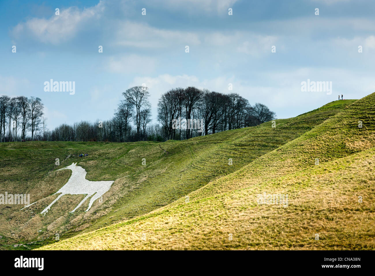 Cherhill White Horse Foto Stock