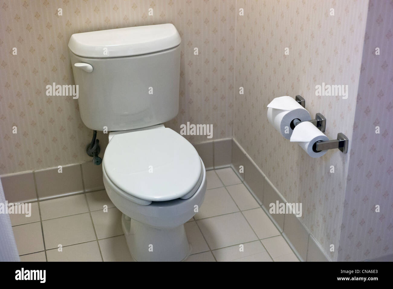 Bagno in una lussuosa camera d'hotel. Foto Stock