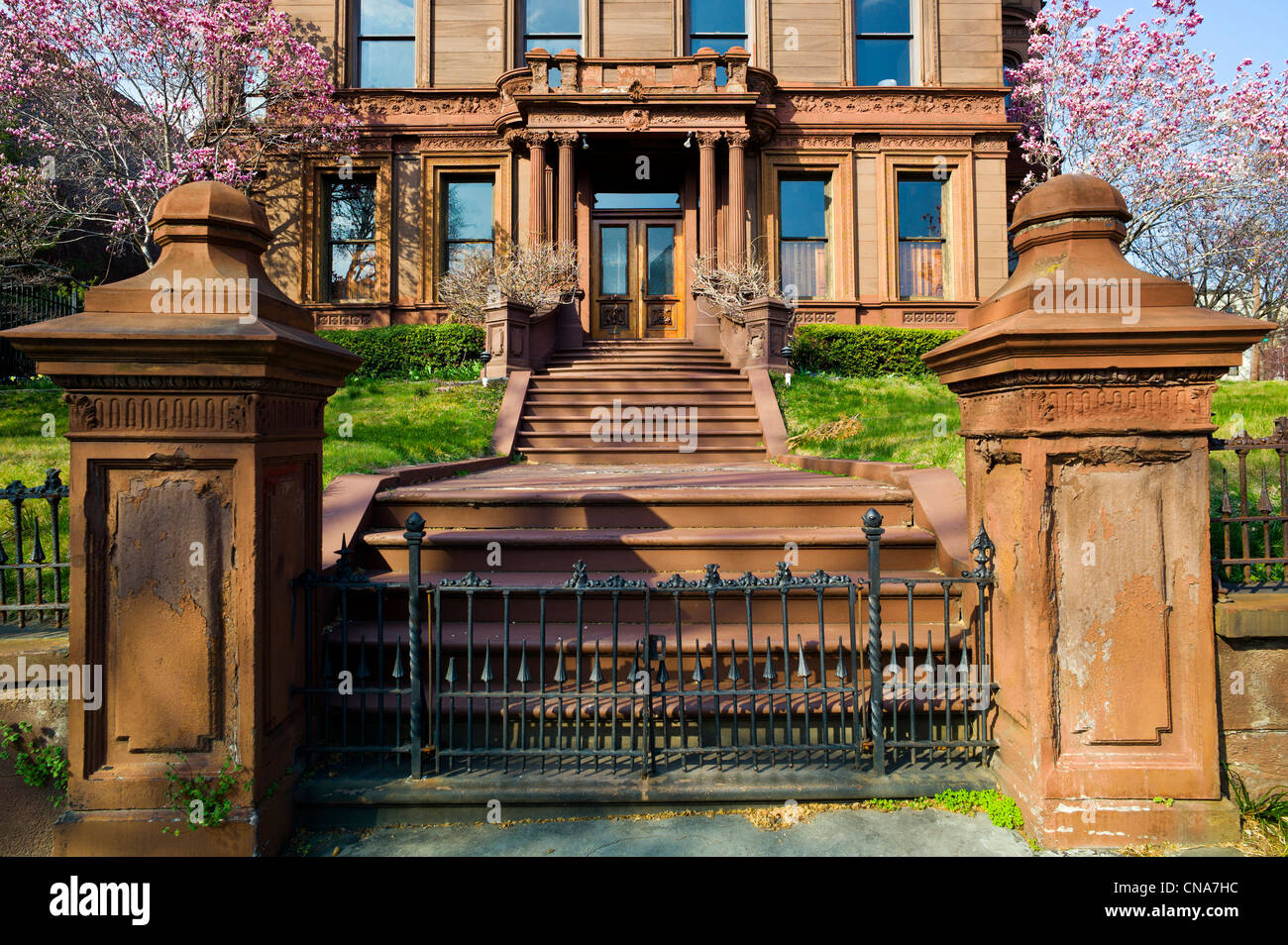 Albero di magnolia in primavera fioriscono fiancheggiano l'entrata di un residence nel centro della città, Philadelphia, Pennsylvania, STATI UNITI D'AMERICA Foto Stock