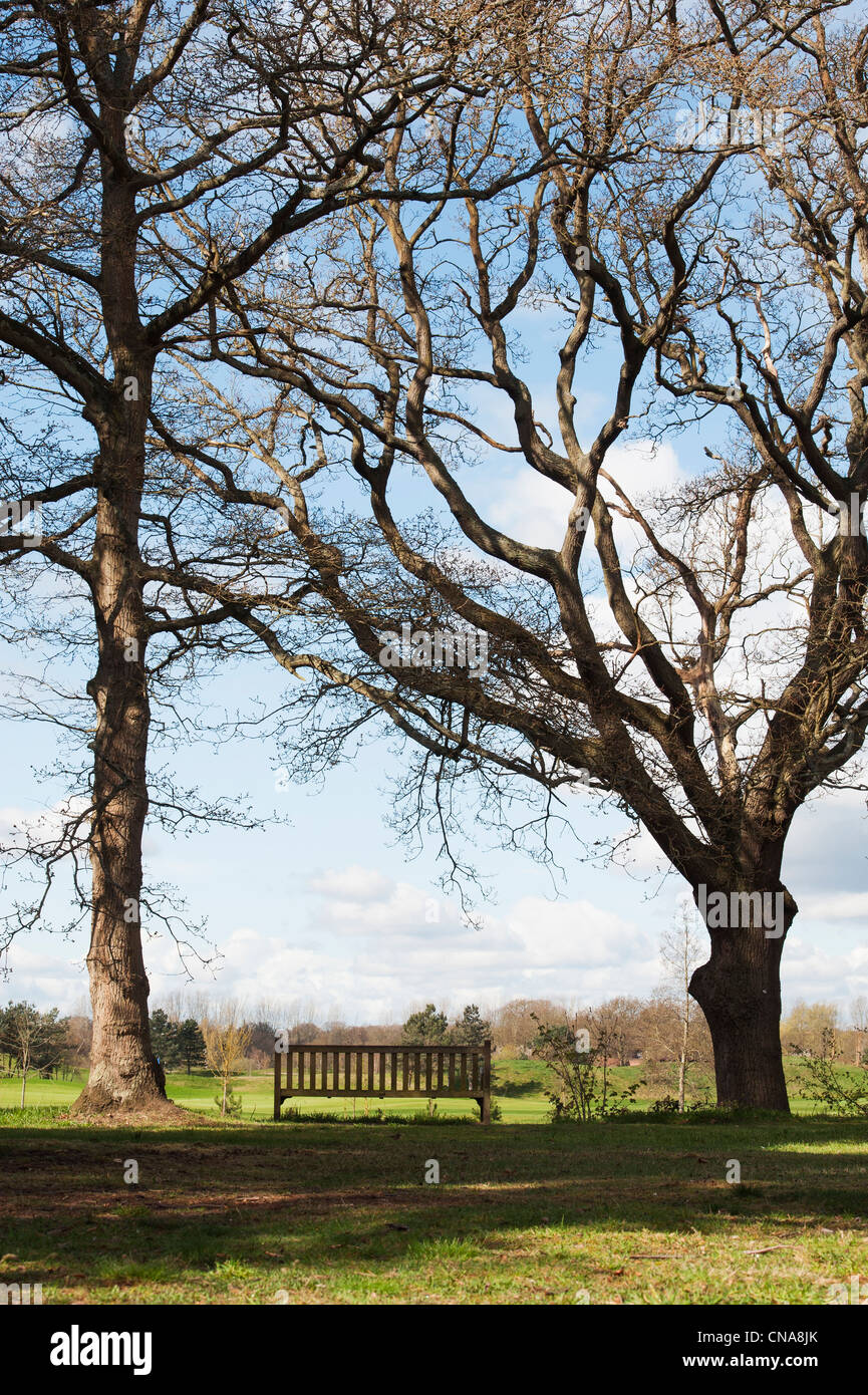 Panca in legno tra due alberi in RHS Wisley Gardens. Che si affacciano sul campo da golf. RHS Wisley Gardens. Surrey. Inghilterra Foto Stock