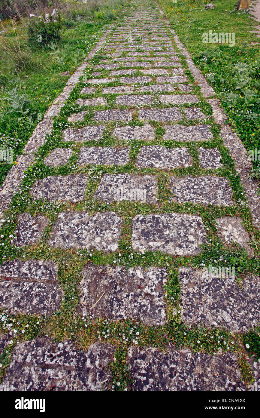 Un percorso di pietra o sentiero tra le rovine del tempio di Hera Tempio (E) a Selinunte, Sicilia, Italia Foto Stock