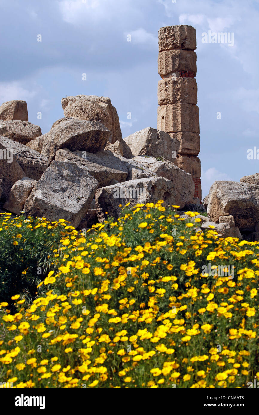 Pilastro di pietra e fiori di colore giallo tra le rovine del Tempio C, un Hexastyle dorico edificio, a Selinunte, Sicilia, Italia Foto Stock