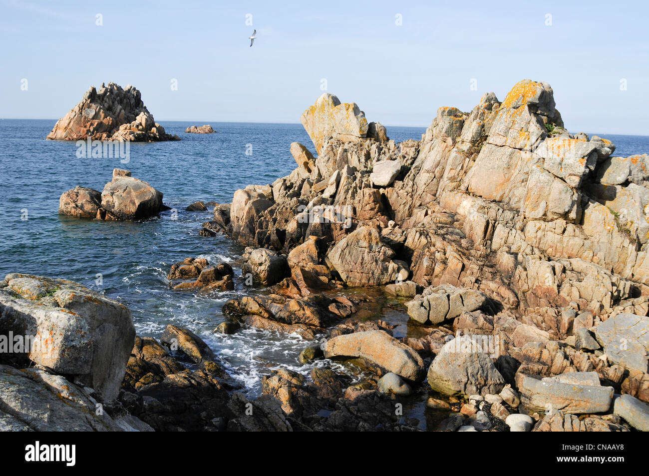 Francia, Cotes d'Armor, Brehat island, selvatica costa del nord dell isola Foto Stock