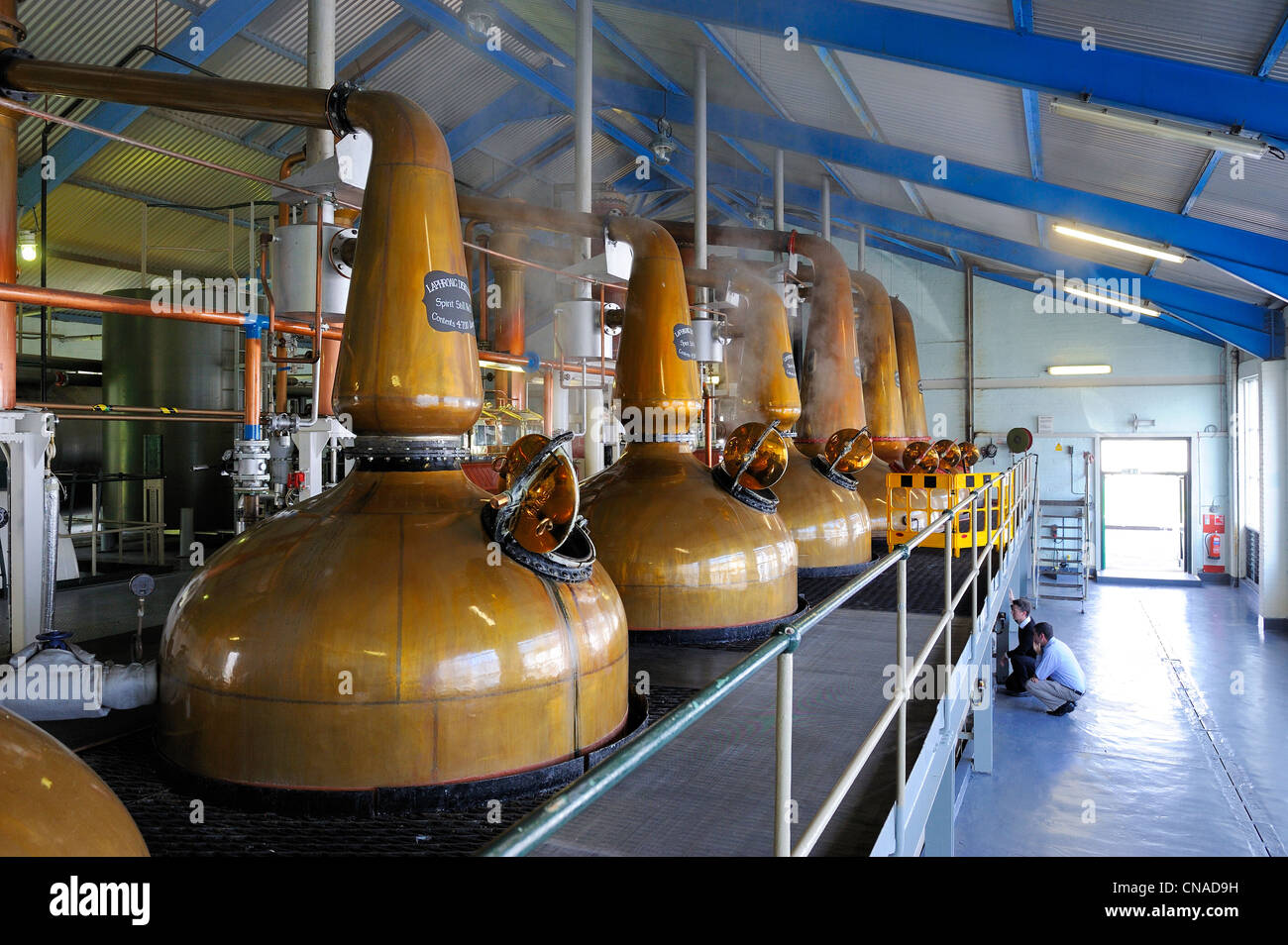 Regno Unito, Scozia, Ebridi Interne, isola di Islay, Port Ellen, Laphroaig Scotch Whisky Distillery, lavare la distillazione in Foto Stock