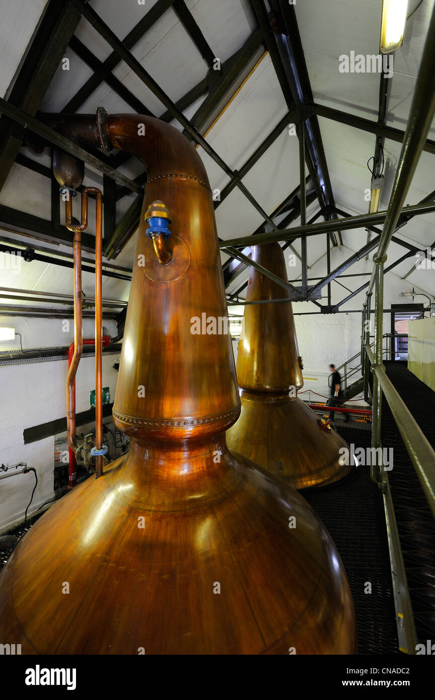 Regno Unito, Scozia, Ebridi Interne, isola di Islay, Port Ellen, Ardbeg Scotch Whisky Distillery, distillazione di lavaggio nel recipiente Foto Stock