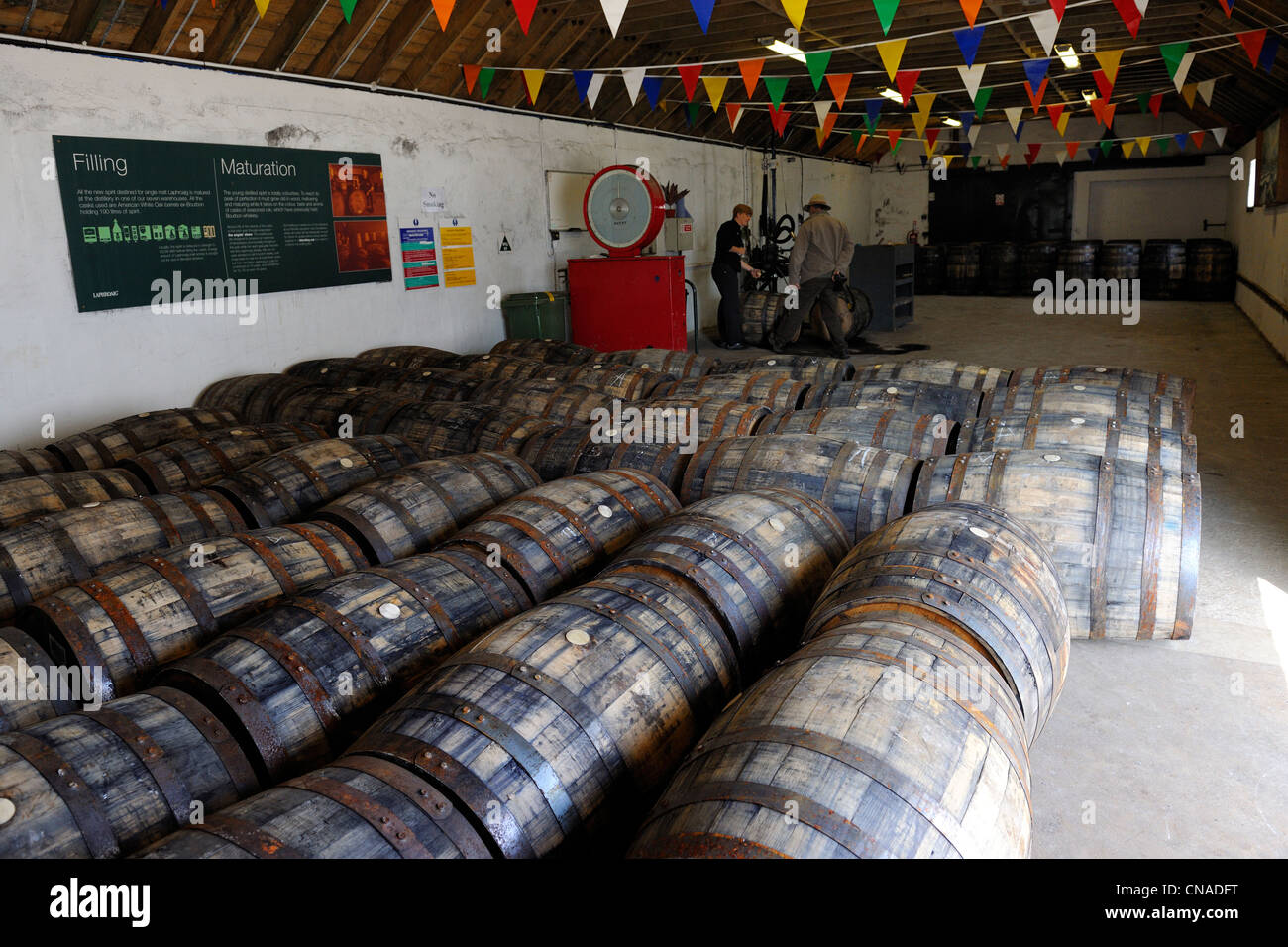 Regno Unito, Scozia, Ebridi Interne, isola di Islay, Port Ellen, Laphroaig Scotch Whisky Distillery Foto Stock
