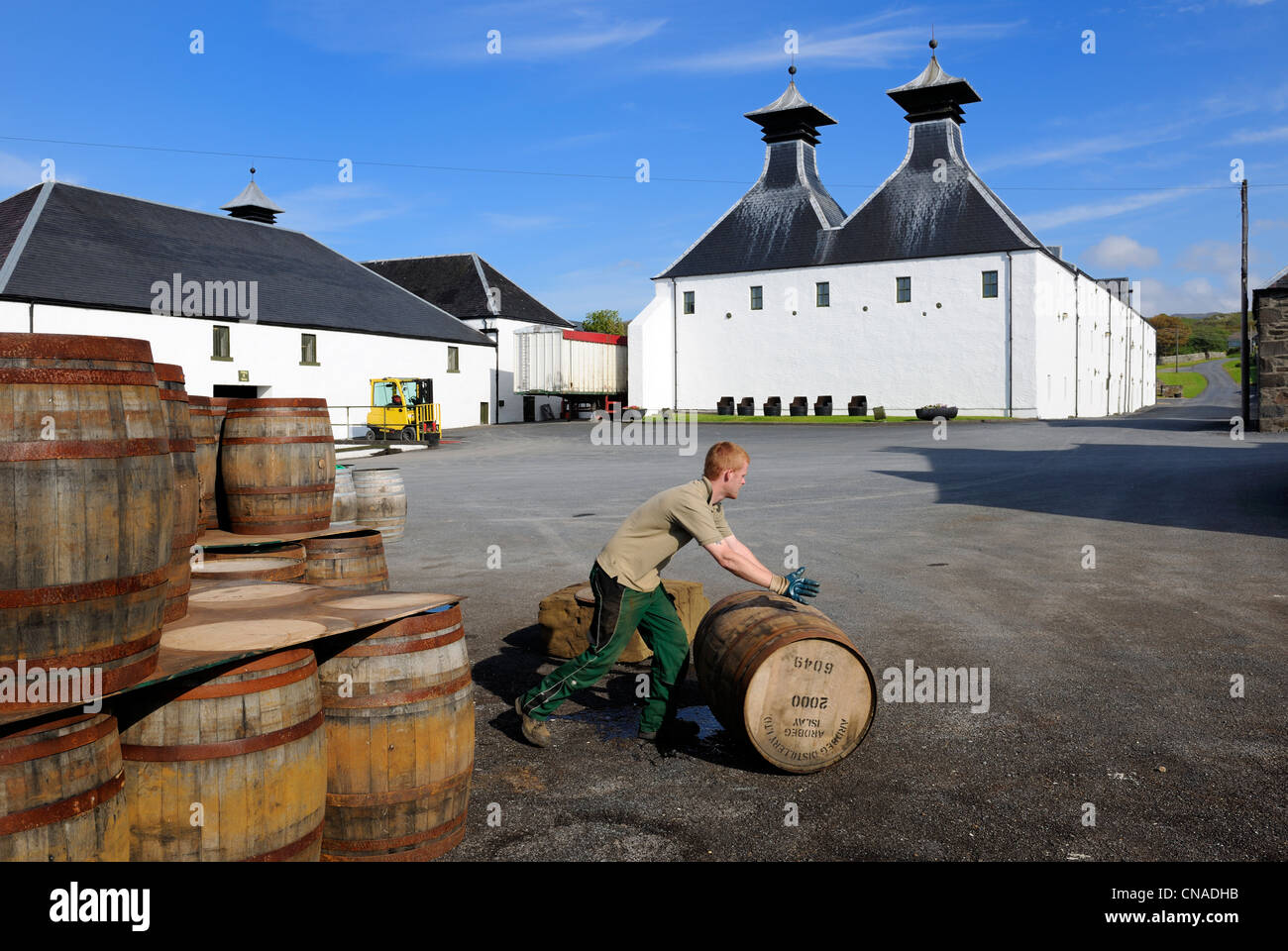 Regno Unito, Scozia, Ebridi Interne, isola di Islay, Port Ellen, Ardbeg Scotch Whisky Distillery Foto Stock