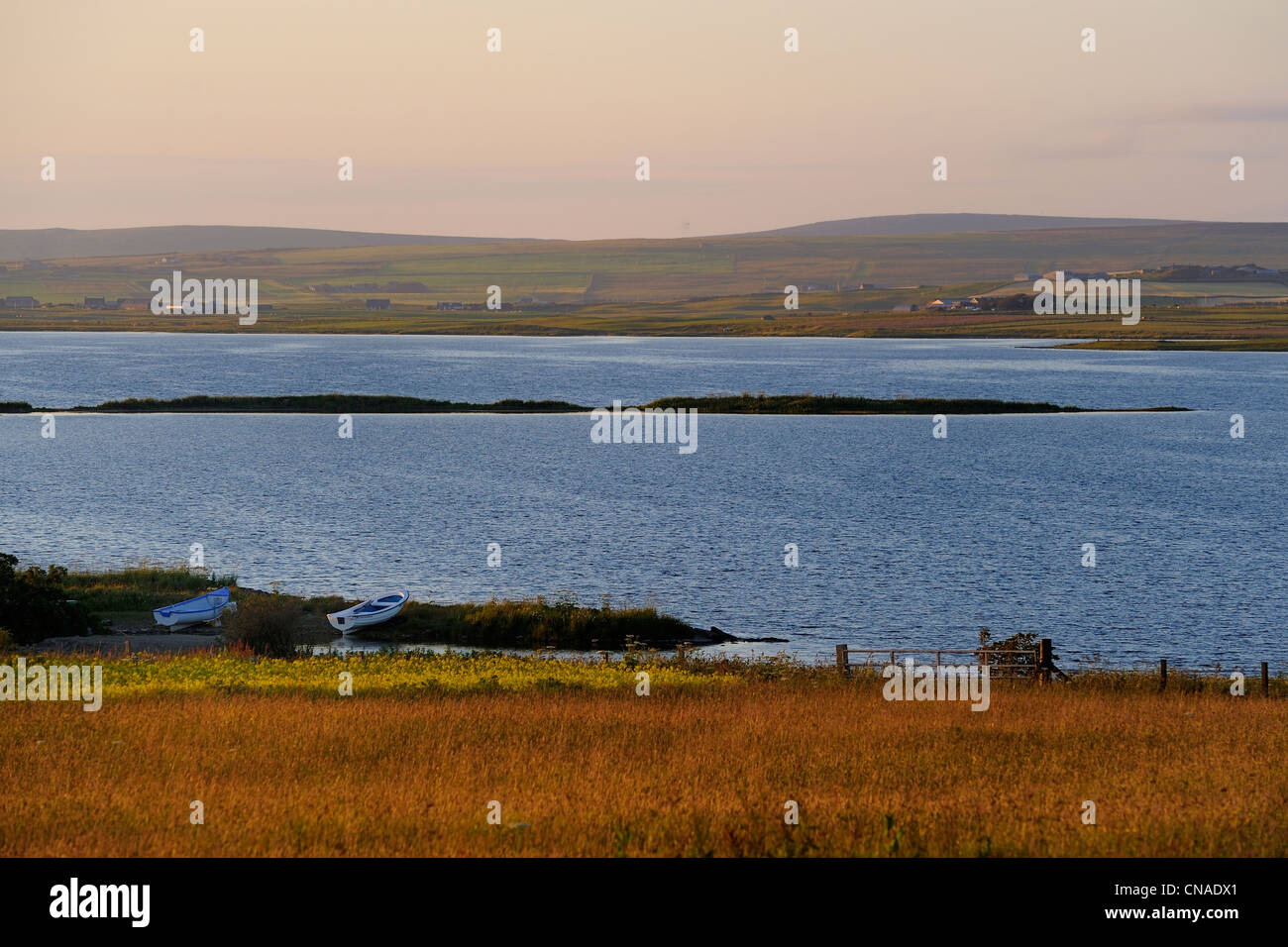 Regno Unito, Scozia, isole Orcadi, continente isola, i loch di Stenness Foto Stock