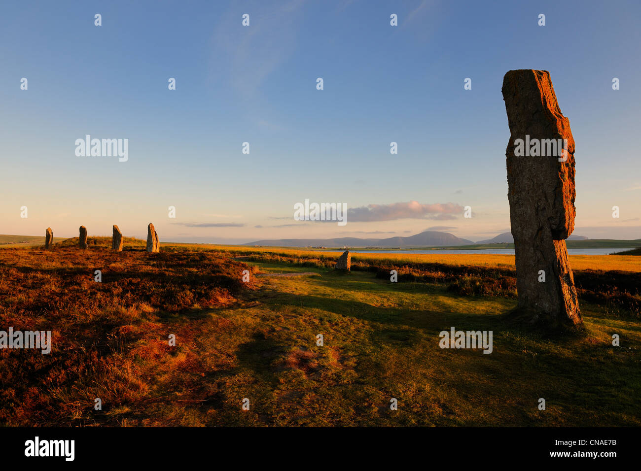 Regno Unito, Scozia, isole Orcadi, continente isola, accanto al Loch di Stenness, pietre permanente (cerchio di pietra) dal Foto Stock